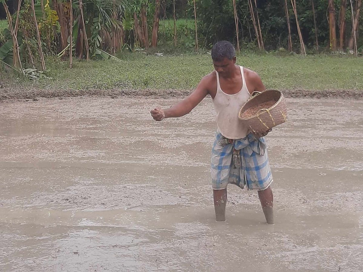 বন্যার পর জেগে ওঠা জমিতে বীজ ছিটাচ্ছেন এক কৃষক। গতকাল চট্টগ্রামের মিরসরাইয়ের মালিয়াইশ এলাকায়